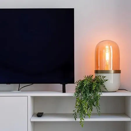 Luxurious Flat 